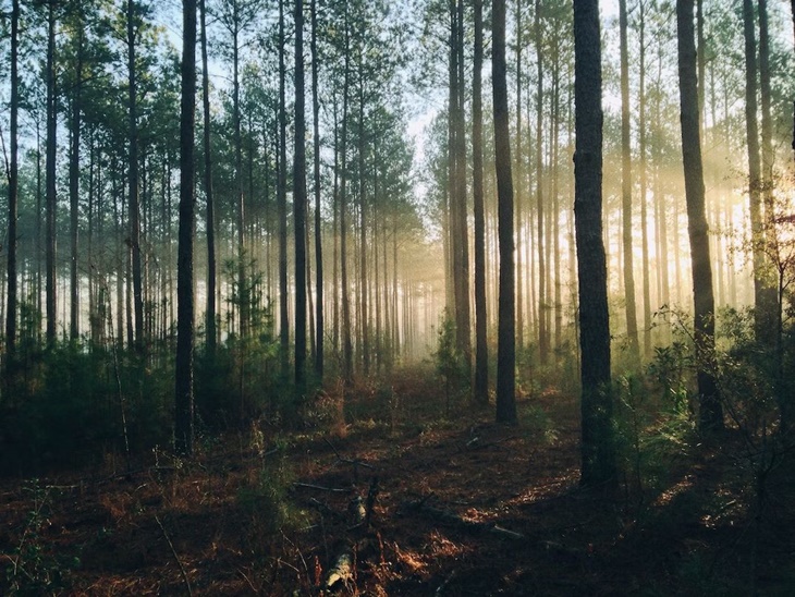 Pertamina Foundation Raih Penghargaan Penghargaan Environment Initiative of the Year