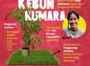 Kebun Kumara