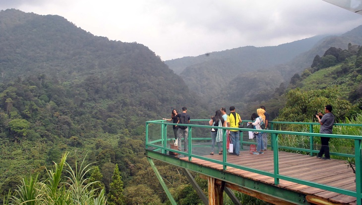 Pulihkan Ekosistem, Jalur Pendakian Gunung Gede Pangrango Ditutup