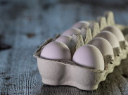 Alasan Telur Makanan Sehat