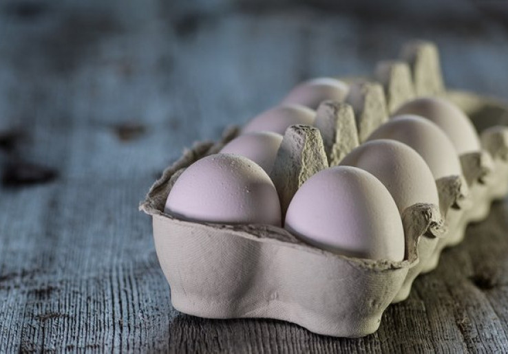 Alasan Telur Makanan Sehat