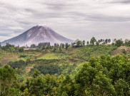 Tempat Paling Mematikan Versi Bright Side, Salah Satunya Ada di Indonesia