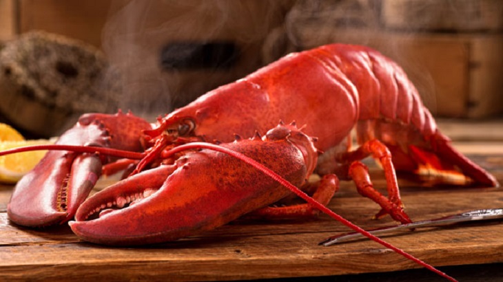 Ternyata Dulu, Lobster Jadi Hidangan Para Budak