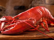 Ternyata Dulu, Lobster Jadi Hidangan Para Budak