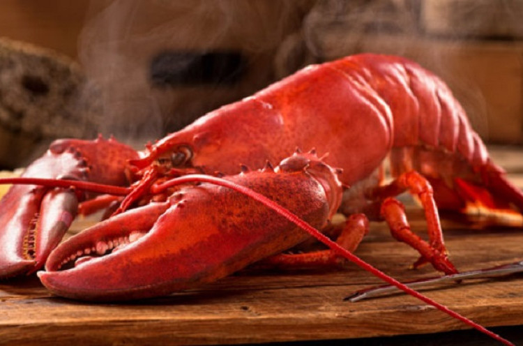 Ternyata Dulu, Lobster Jadi Hidangan Para Budak