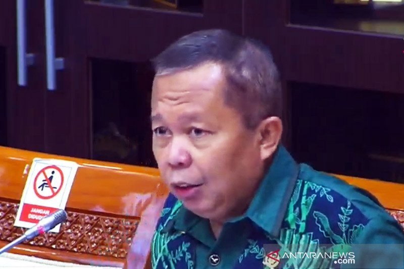  Wakil Ketua Umum DPP PPP Arsul Sani . (Foto: Antara)
