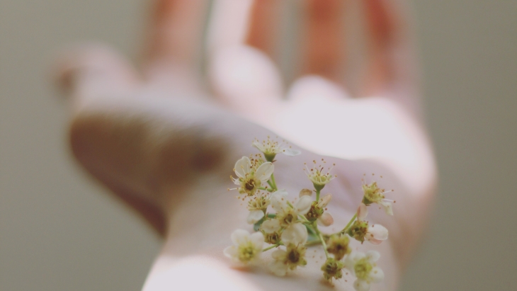 Buah Tin mengandung antioksidan yang dapat membantu menjaga kesehatan kulit. (Foto: Unsplash/Carolina Heza)
