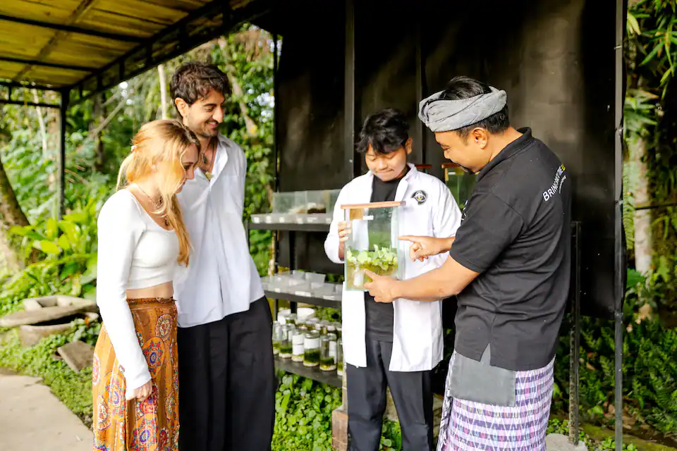 Menikmati Sisi Lain Bali bersama Masyarakat Lokal, Menengok Konservasi Kunang-Kunang di Ubud