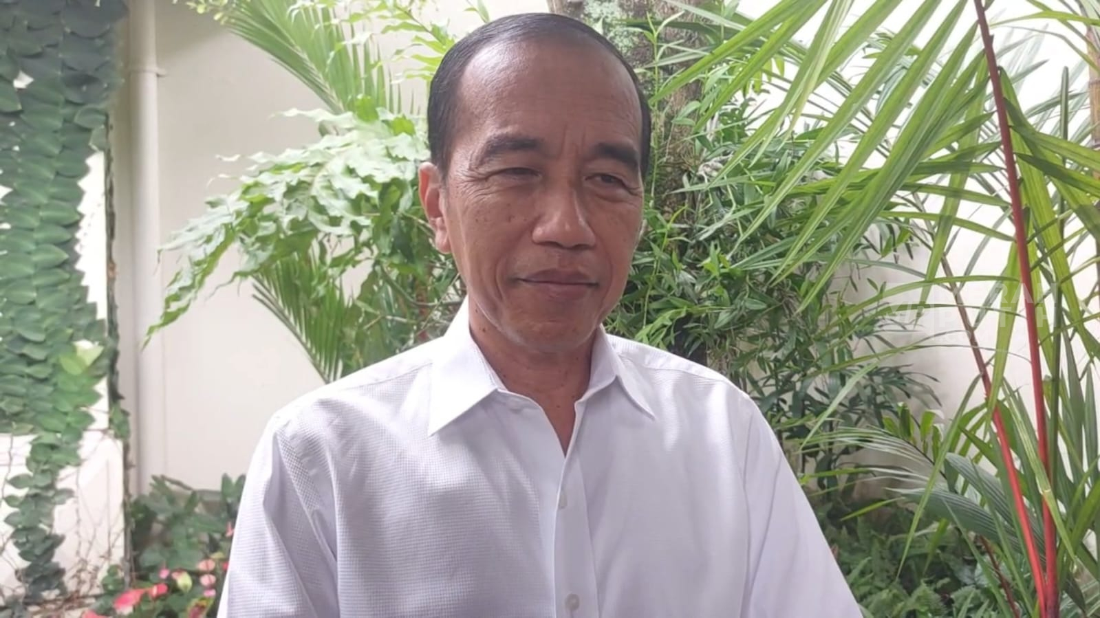 Jokowi Tepis Kabar Masuk Golkar Via Ormas Sayap, Sebut Hanya Isu