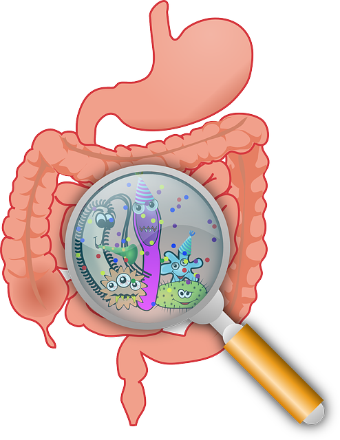 Menyebabkan kanker usus (Sumber: Pixabay/OpenClipart-Vectors)