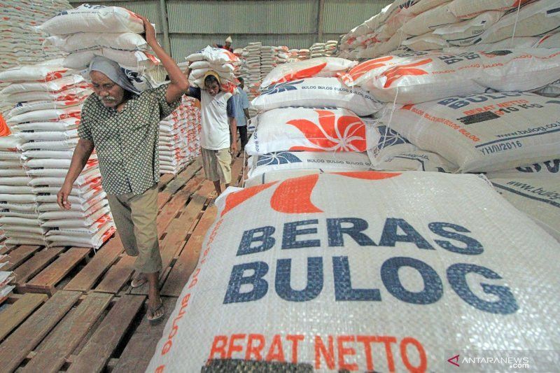 Proyeksi Serapan Beras Petani Capai 5,48 Juta Ton, Surplus Bisa 2,74 Juta Ton