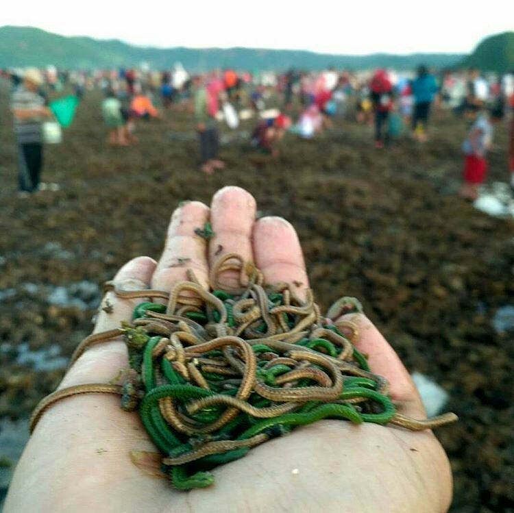 Tiga Kegiatan Ini Jadi Kalendar Tetap Pariwisata NTB
