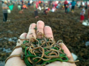 Tiga Kegiatan Ini Jadi Kalendar Tetap Pariwisata NTB