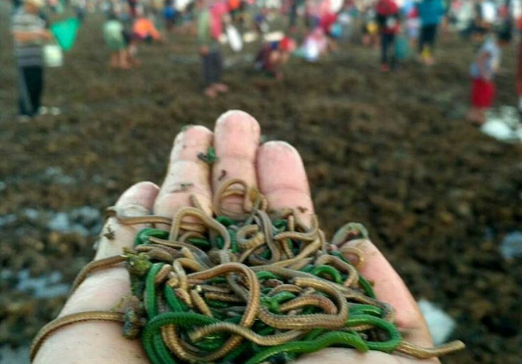 Tiga Kegiatan Ini Jadi Kalendar Tetap Pariwisata NTB