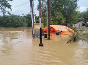 5 Kecamatan di Aceh Timur Dilanda Banjir, Ketinggian Sampai Dada Orang Dewasa