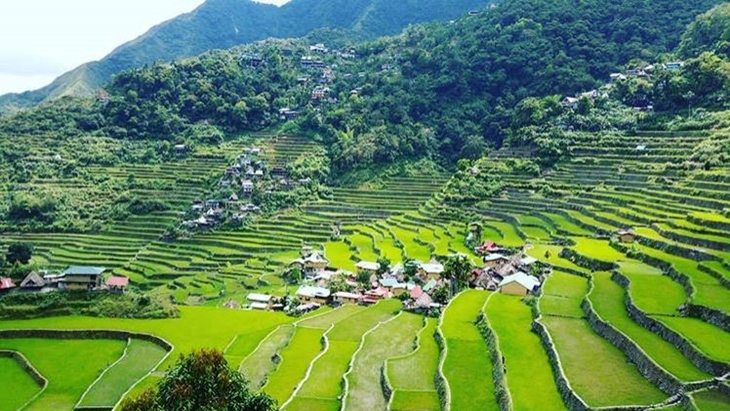 Jadi Lokasi Syuting Avengers: Infinity War, Ini Fakta Menarik Terasering Banaue