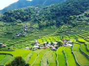 Jadi Lokasi Syuting Avengers: Infinity War, Ini Fakta Menarik Terasering Banaue