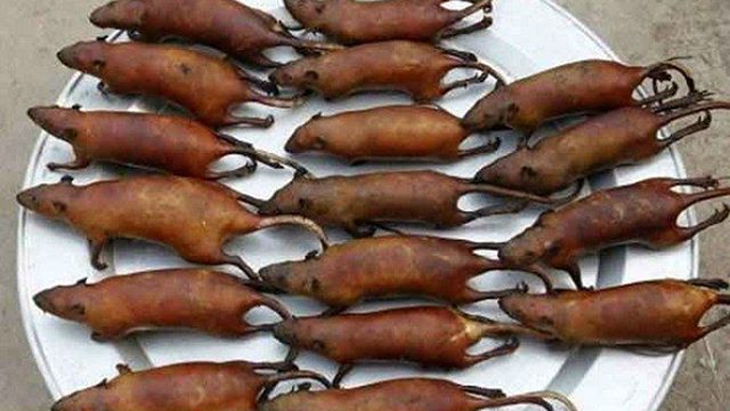7 Makanan Ekstrem dari Indonesia, Berani Coba?