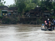   Pemda Bojonegoro Berencana Tanam Mangrove di Bengawan Solo