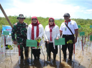  Istri Menpora Dan Menteri Agama Terjun Langsung Tanam 5.000 Pohon Mangrove 