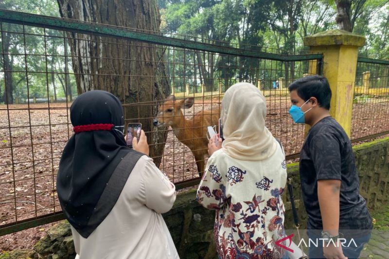 Kebun Binatang Ragunan Padat Pengunjung