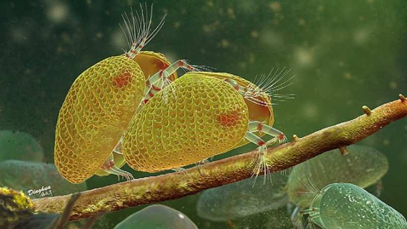 Homilador ayollar bilan porno va tugilish boshlanishi