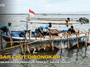 Pagar Laut Dibongkar, Panggilan Pihak Terduga Terkait Jalan Terus