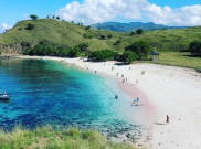 Pantai Pink, Pecahan Surga yang Jatuh di Flores