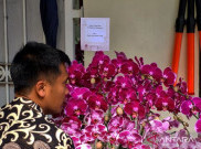 Jokowi Kirim Bunga Anggrek Bulan Ungu ke Ultah Megawati
