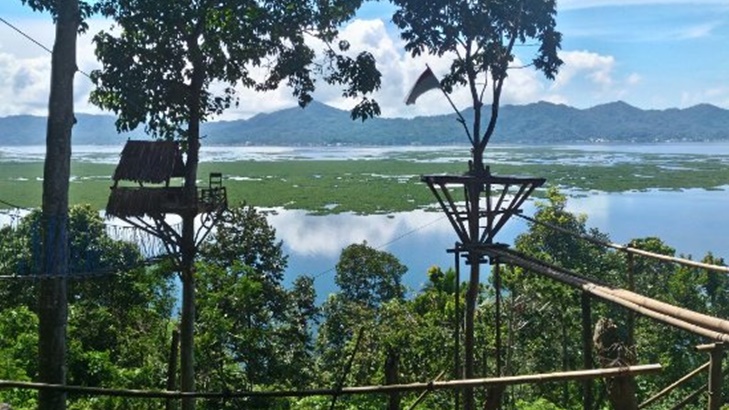Bertualang di Ketinggian Rumah Pohon Urongo