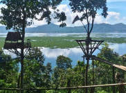 Bertualang di Ketinggian Rumah Pohon Urongo