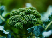 Manfaat Sulforaphane, Senyawa Terkandung pada Brokoli dan Kubis