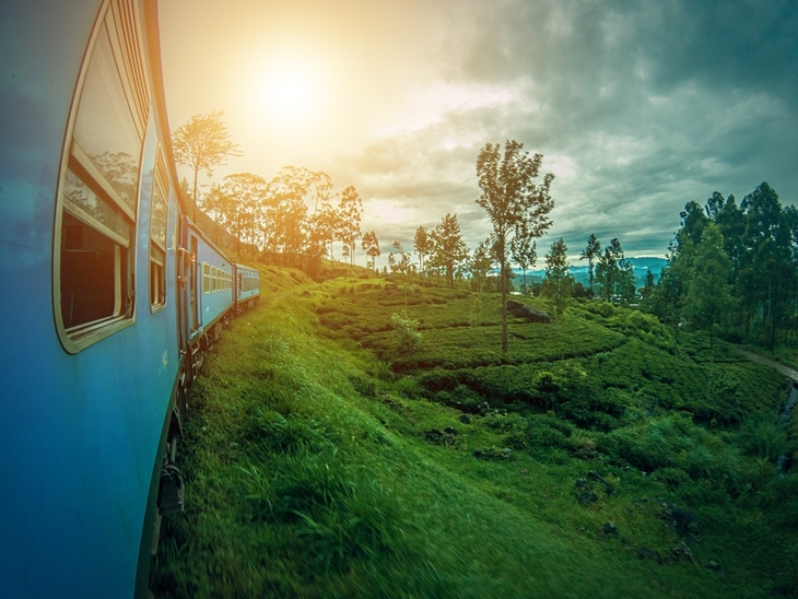   Pemandangan kebun teh di Ella. (Foto: Pixabay/amanjahemal)