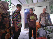 Bantah Pakan Harimau Ragunan Dibawa Pulang, Pramono: Ada Petugas yang Bertanggung Jawab