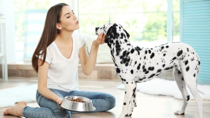 Penelitian Menunjukkan Anjing Tahu Kita Jujur atau Berbohong