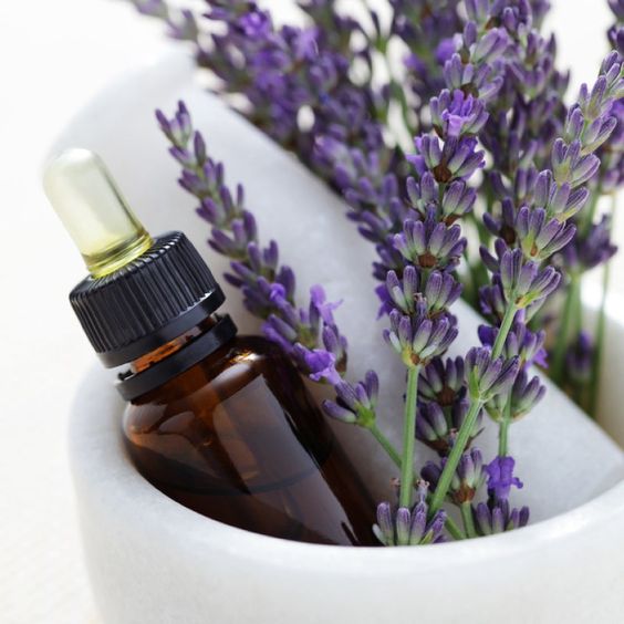 Minyak Lavender  bisa meredahkan nyeri menstruasi (Foto: Pinterest/Val Savell)