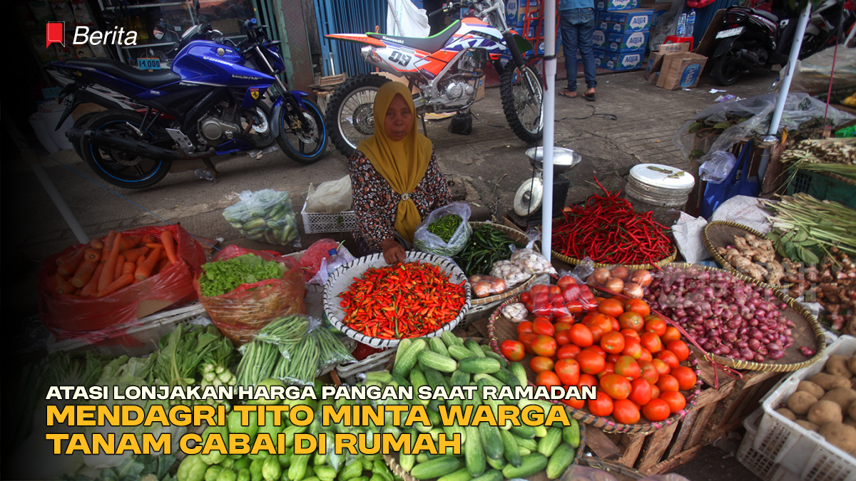 Atasi Lonjakan Harga Pangan saat Ramadan, Mendagri Tito Minta Warga Tanam Cabai di Rumah