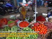 Atasi Lonjakan Harga Pangan saat Ramadan, Mendagri Tito Minta Warga Tanam Cabai di Rumah