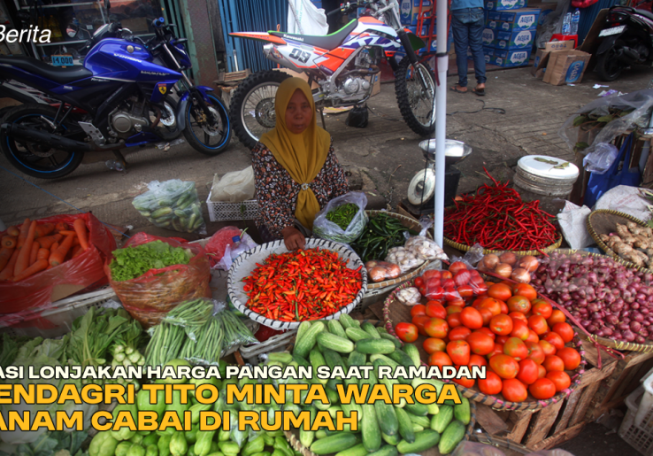 Atasi Lonjakan Harga Pangan saat Ramadan, Mendagri Tito Minta Warga Tanam Cabai di Rumah
