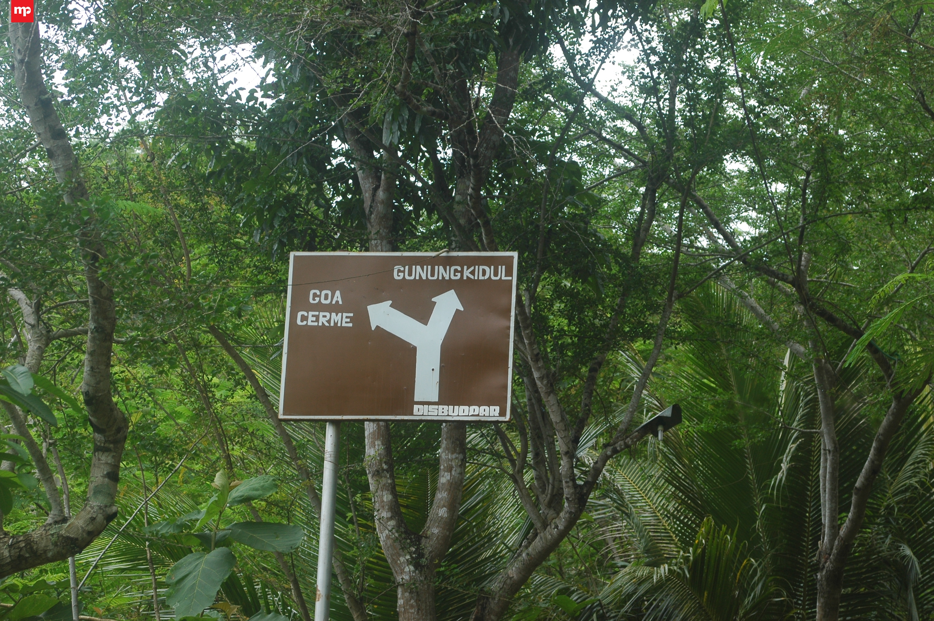 Wisata Goa Cerme, Pesona Alam dan Kisah Walisongo