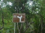 Wisata Goa Cerme, Pesona Alam dan Kisah Walisongo