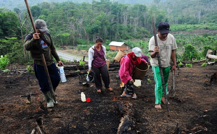 Ormas Dayak Kalbar Gelar Aksi Tuntut Humas BNPB Minta Maaf Secara Langsung