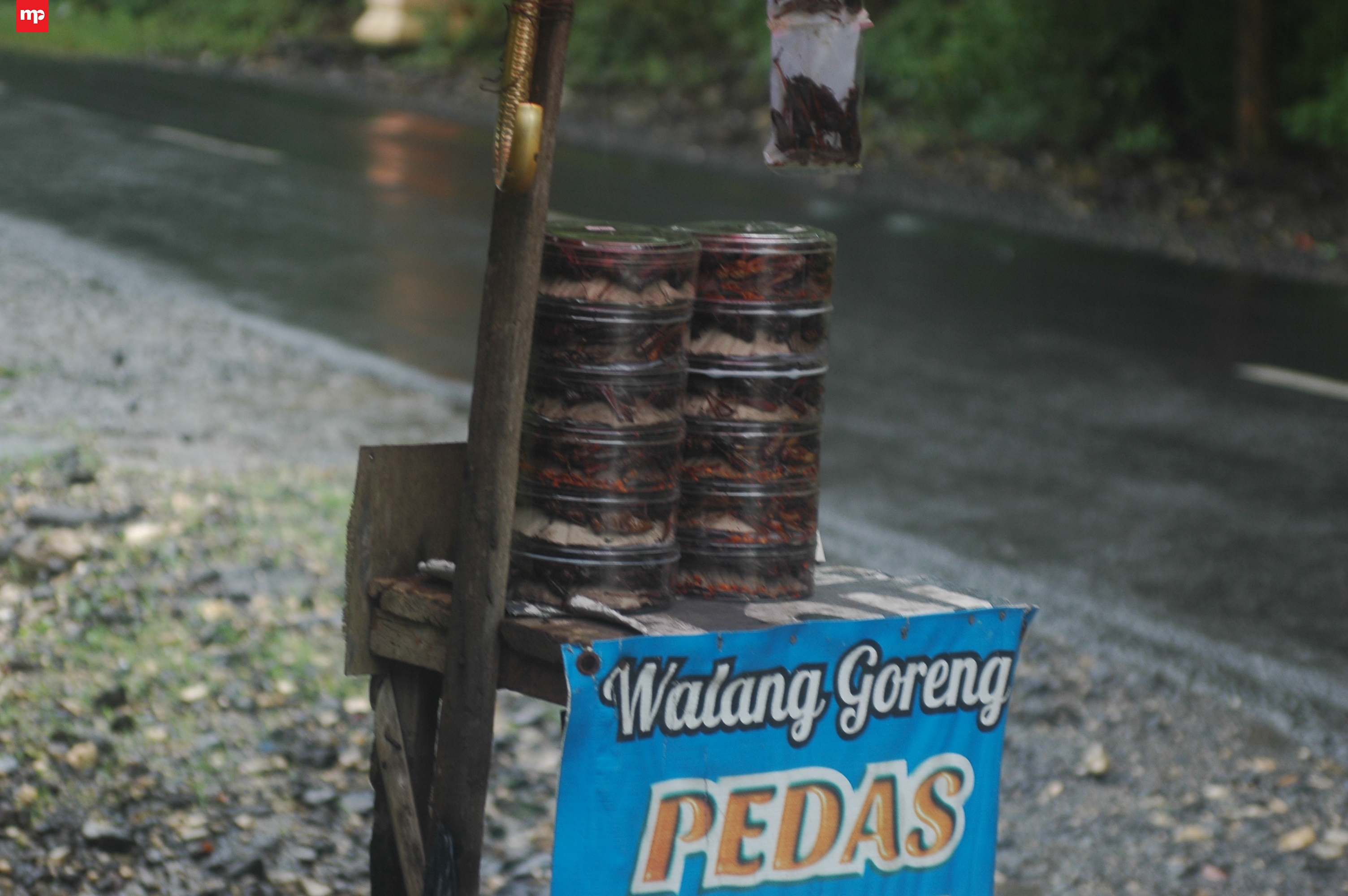 Cobain Kuliner Ekstrem, Walang Goreng Pedas Khas Gunungkidul