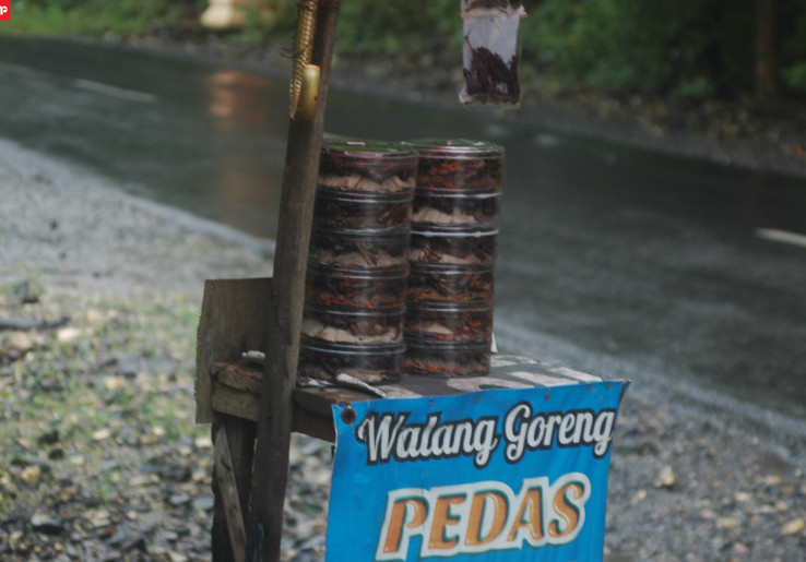 Cobain Kuliner Ekstrem, Walang Goreng Pedas Khas Gunungkidul