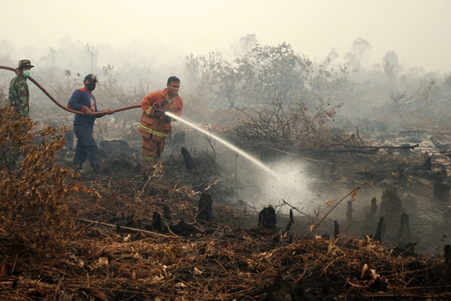 Petugas TNI dan Polri memadamkan kebakaran hutan dan lahan di Riau