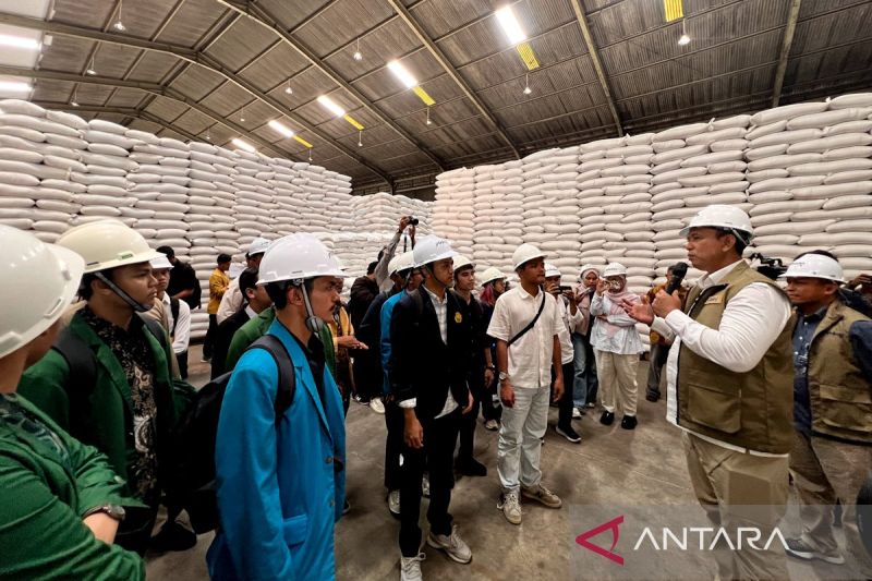 Bulog Serap 2,4 Juta Ton Beras Petani, Semuanya Jadi Cadangan Pemerintah