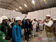 Bulog Serap 2,4 Juta Ton Beras Petani, Semuanya Jadi Cadangan Pemerintah