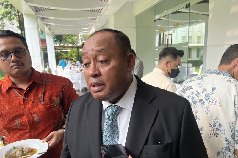 Baru Dilantik Bahli, Dirjen Gakkum ESDM Klaim Tahu Semua Lubang Tikus Tambang Ilegal