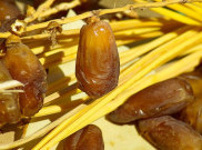 Bunda, Tingkatkan Kualitas ASI di Bulan Puasa dengan Kurma 