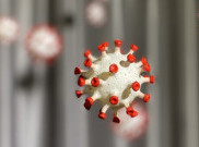 Mengenal COVID-19 Varian Kappa